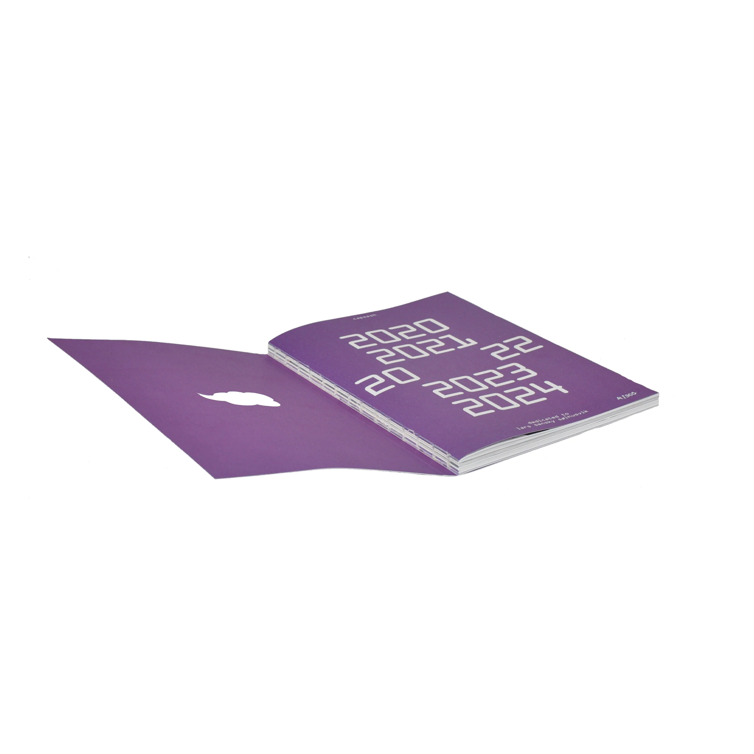 capeesh niche issue #1 - Image 4